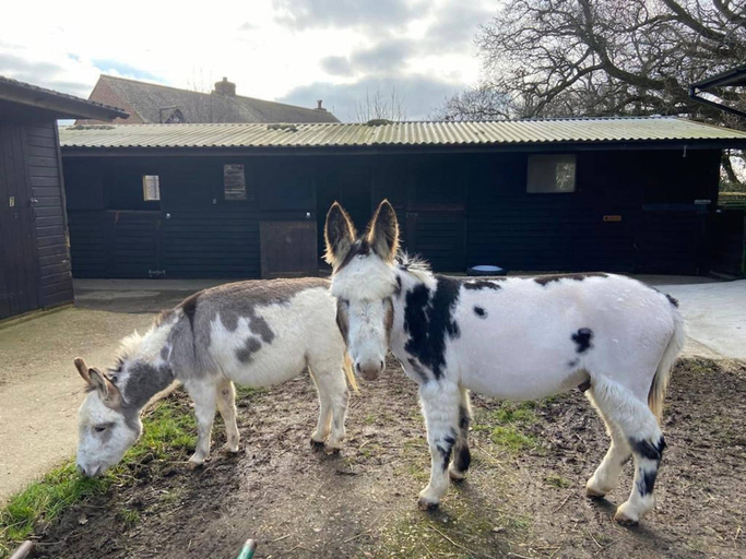 Room 5, The Cote Little Upton Farm, Isle of Wight