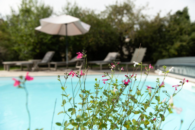Others 5, La Jolie Longere Fleurie Tiny house avec piscine et jardin, Charente-Maritime
