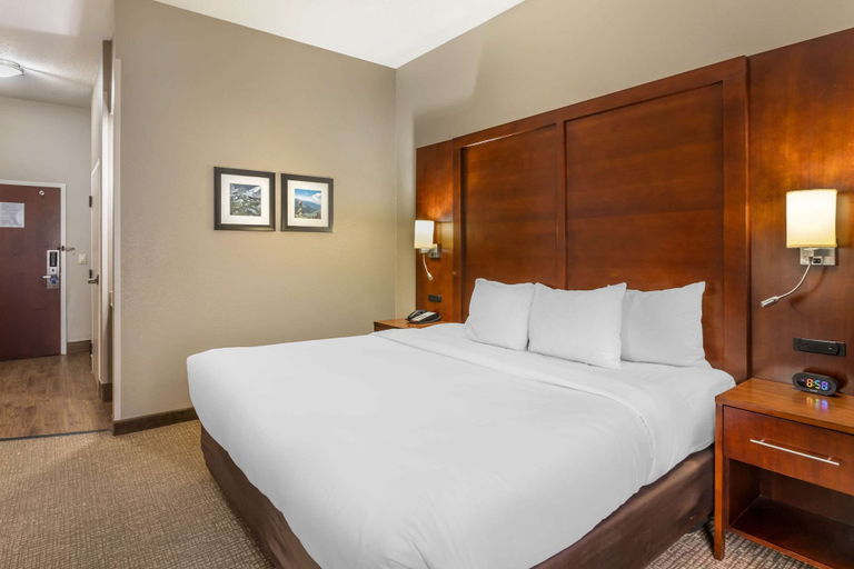 Bedroom 3, Comfort Inn & Suites Conway, Faulkner