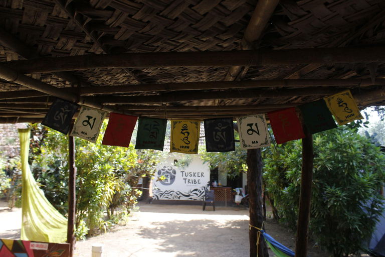 Others 3, Tusker Tribe Hostel, Uttara Kannada