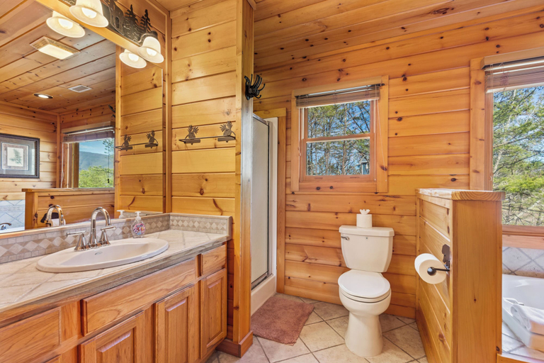 Bathroom 3, Awesome Endeavor, Sevier