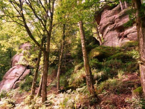 Others 5, Mozane, Vosges