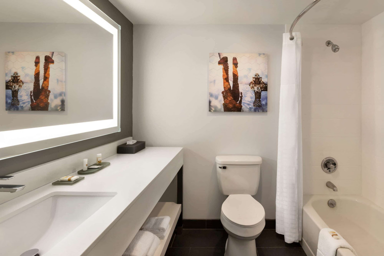 Bathroom 4, La Quinta Inn & Suites by Wyndham Dothan, Houston
