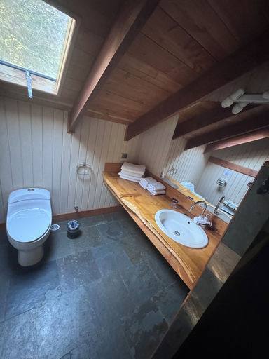 Bathroom 5, hotel salto del carileufu, Cautín