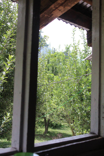 Others 4, Manu Cottage, Kullu