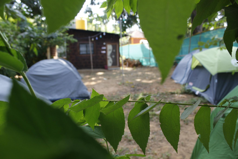 Others 4, Tusker Tribe Hostel, Uttara Kannada