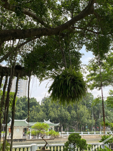 Others 3, wtzj, Xiamen