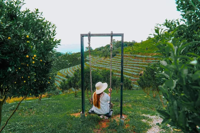 Others 4, ภูแสงเทียน โฮมสเตย์, Mae Rim