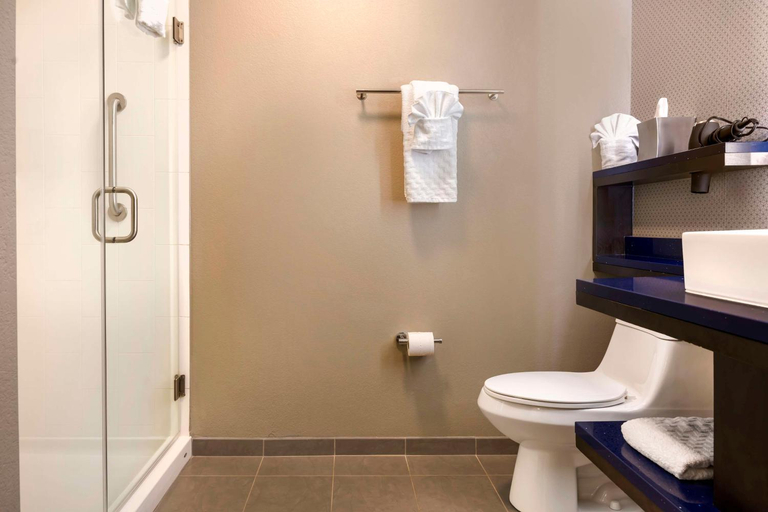 Bathroom 4, GLō Best Western Asheville Blue Ridge Parkway, Buncombe