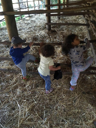 4, Turismo Rural Lo Vilches, Ñuble