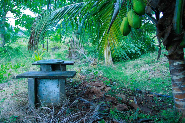 Others 3, Kudhiraipannai Bungalow, Dindigul