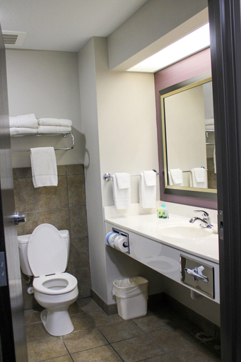 Bathroom, Parkwood Inn Suites, Riley