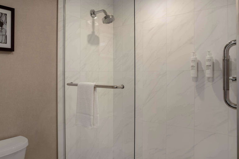 Bathroom 4, Hampton Inn by Hilton Winnipeg Downtown, Division No. 11