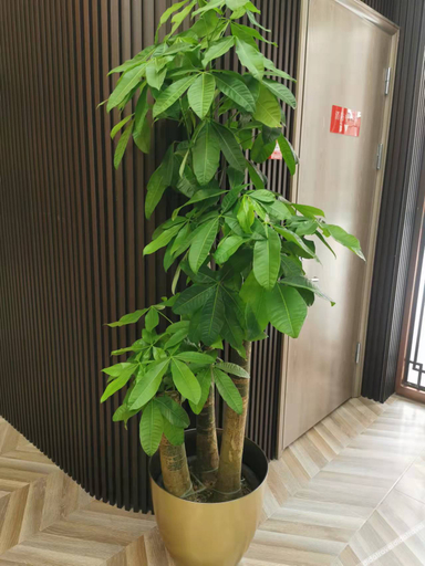 Others 4, TRUE GO HOTEL, Beijing