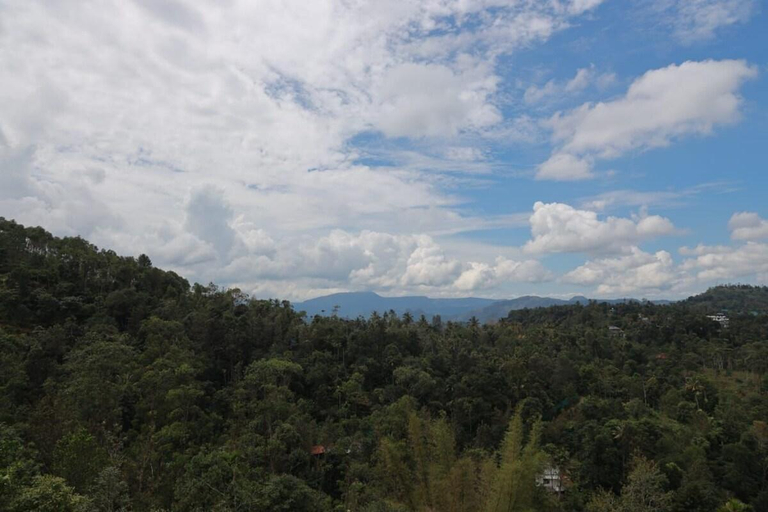 3, munnar ethan's valley, Idukki