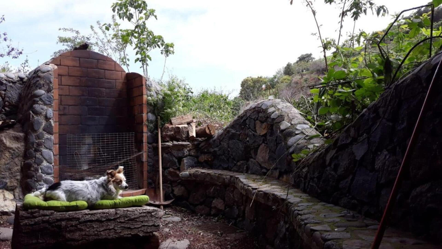 Property grounds 4, House Finca Relax Cercadillo, Santa Cruz de Tenerife
