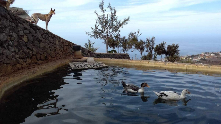 View from property, House Finca Relax Cercadillo, Santa Cruz de Tenerife