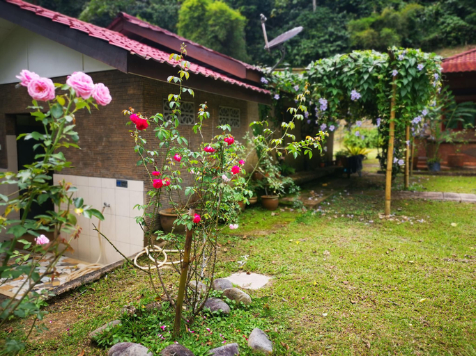 Scenery