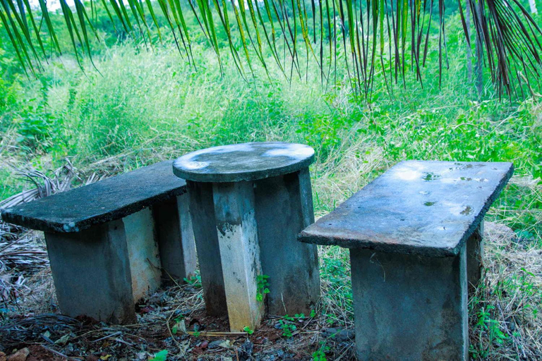 Others 4, Kudhiraipannai Bungalow, Dindigul