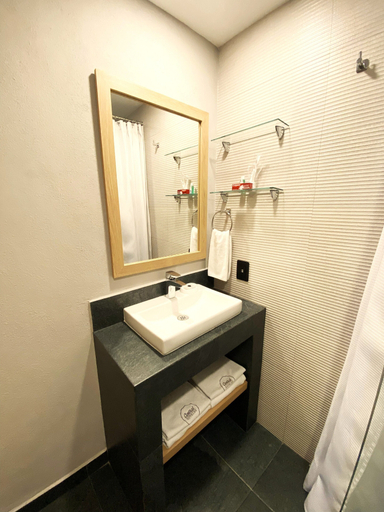 Bathroom 4, Hotel Canada Central, Mexico City