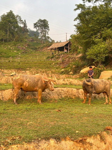 Others 4, Sapa Tranquilla, Sa Pa