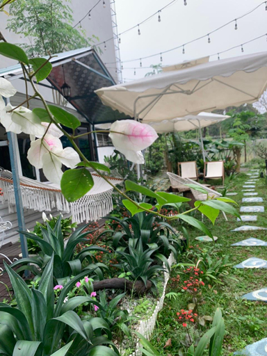 Scenery 9