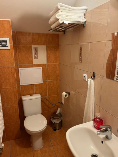 Bathroom 3, Apartmany v Zlatej ulicke, Prievidza