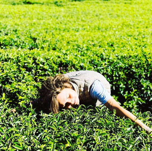 Others 5, Villa Tea Fields - Free Breakfast, Just 4km from City, Near Lake Gregory, Nuwara Eliya