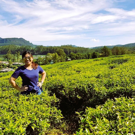 Others 5, Villa Tea Fields - Free Breakfast, Just 4km from City, Near Lake Gregory, Nuwara Eliya
