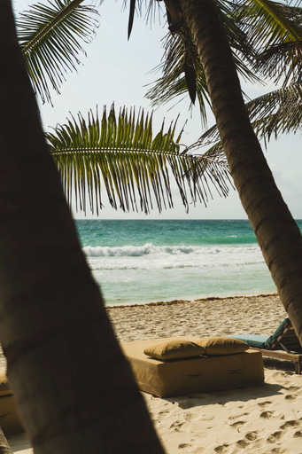 Others 5, Ether Tulum, Cozumel
