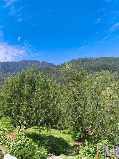 Others 4, Seasons Homestay, Kullu