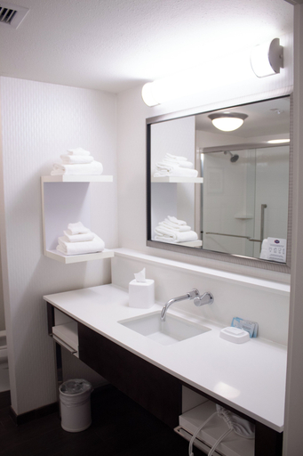 Bathroom 3, Hampton Inn Big Rapids, Mecosta
