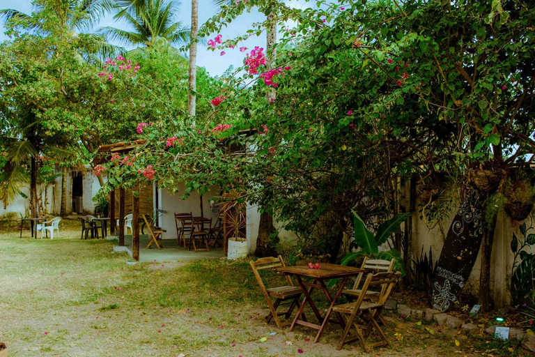 2, Coliving Porto de Galinhas, Ipojuca