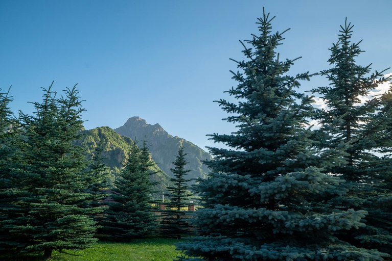 Others 5, Vardisubani Villa, Kazbegi