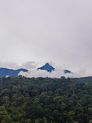 Others 5, Irsh, Idukki