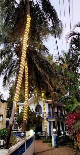 5, Baga Beach Palms, North Goa