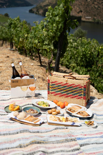 Food & Drinks 5, Quinta Sao Luiz The Vine House Douro, Tabuaço