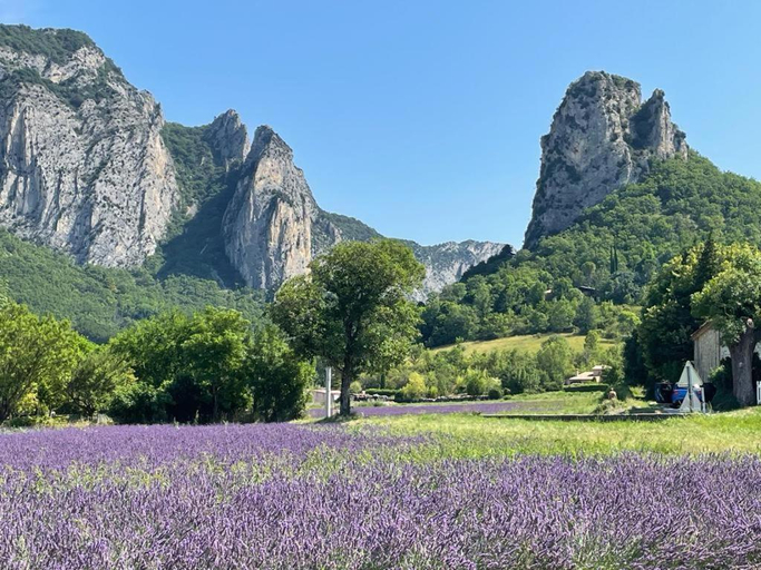 Others 5, Les lavandes, Drôme