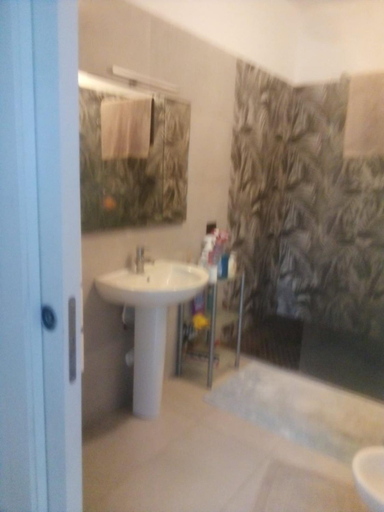 Bathroom, Zevio room, Verona