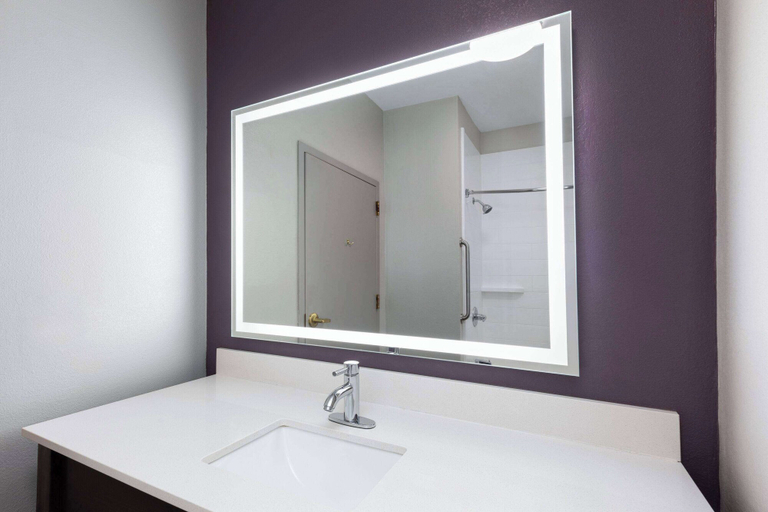 Bathroom 5, La Quinta Inn & Suites by Wyndham Loudon, Loudon