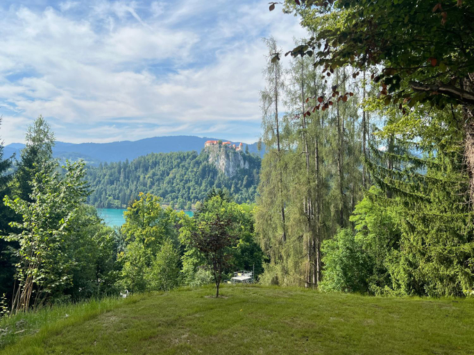 Others 2, Panoramic Forest Chalet Bled Lake and Castle View, Bled