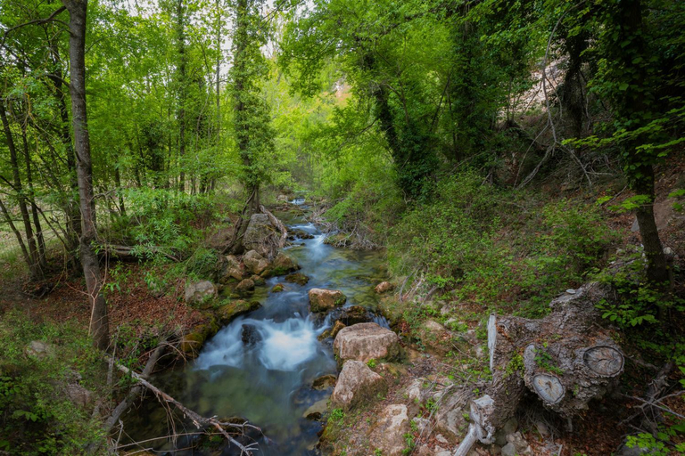 Others 5, La Trucha Hotel, Teruel