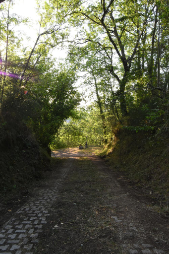 Others 3, Il castello nel bosco, Rome