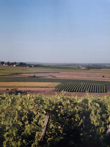 Others 4, O calme, Charente-Maritime