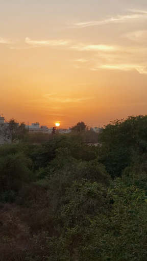 Others 3, Hotel Shivalay Palace, West Nimar