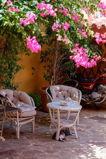 Others 4, Il Piccolo Giardino rooms & breakfast, Cagliari