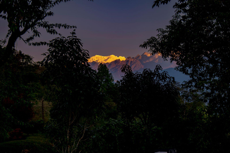 Others 5, Eco Adventure Resorts The Temi Bungalow, South Sikkim
