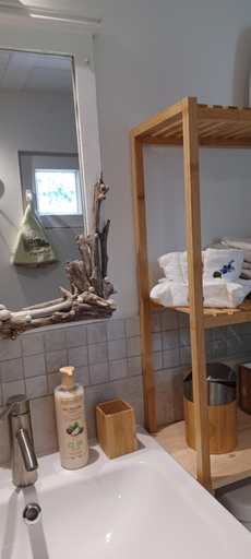 Bathroom 2, Villa Benvengudo, Gard