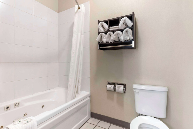Bathroom 4, Quality Inn & Suites Wichita Falls I-44, Wichita