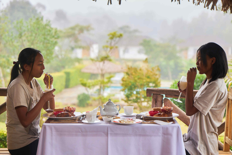 Food & Drinks 5, Andasibe Sifaka Lodge, Alaotra-Mangoro